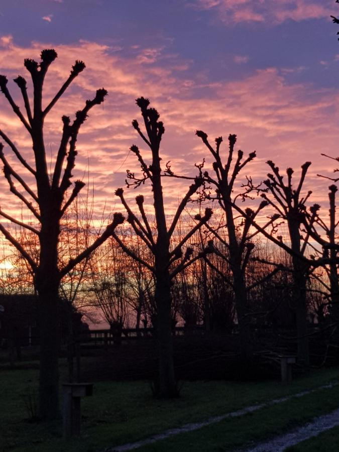 Vila Pauwenstee Stolwijk Exteriér fotografie